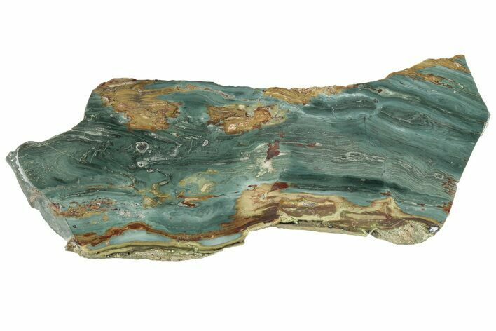 Gary Green Jasper (Larsonite) Bog Wood Slab - Oregon #263450